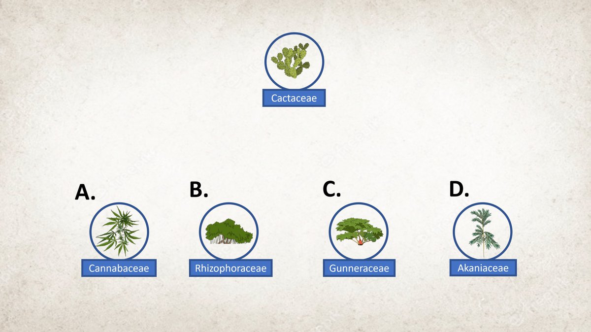 Tree Of Life App tweet media