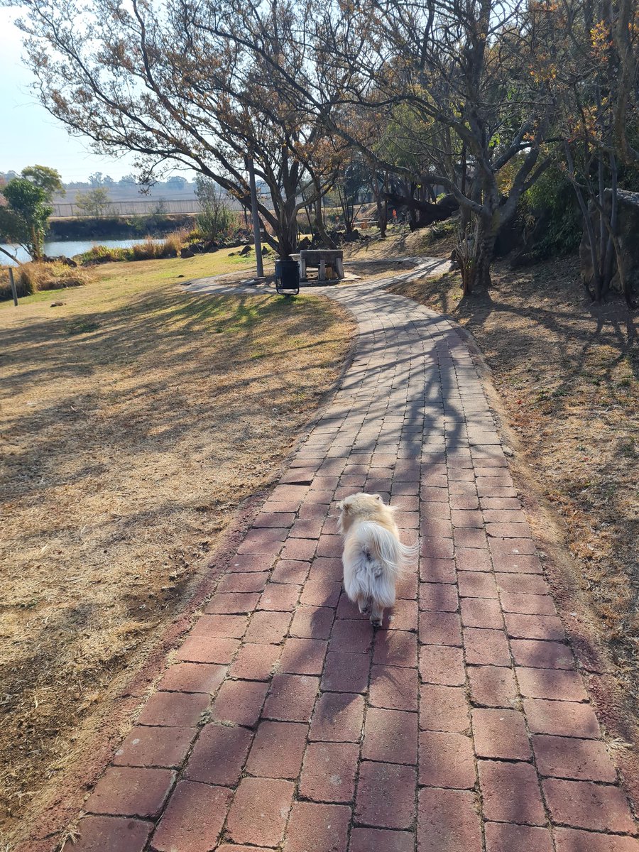 manddes's tweet photo. Great day for a walk, just need some rain https://t.co/dmlQTM3oQQ