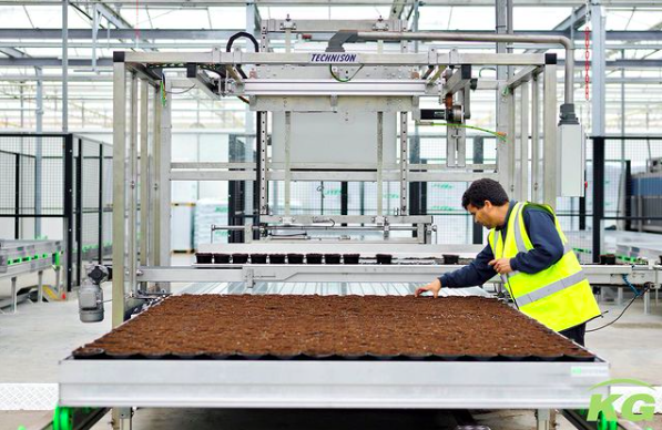 KG Systems' Delivery System ensures a flowing business process. Pot plants are moved easy and quickly due to the automated internal logistics. #GrowWithUs⁣