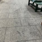 今日は関東地方のとある温泉街に来ております。中国資本の買収スピードが早く合法ですので、いくら民間人が…