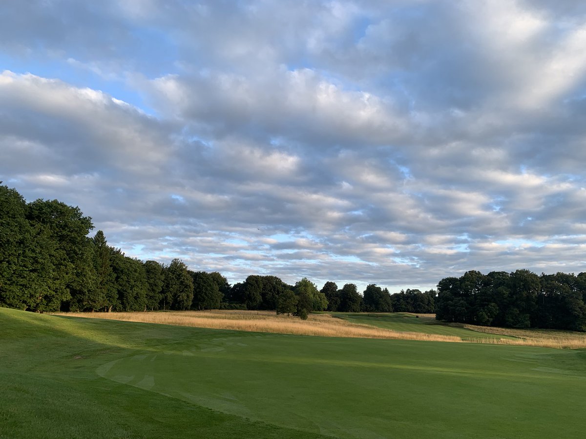 Peter Meek tweet media