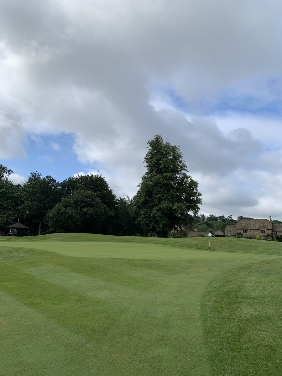 Peter Meek tweet media