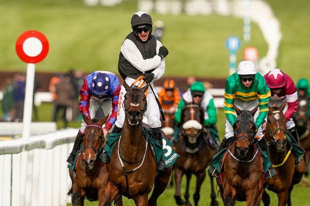 The Peaky Blogger-Horse Racing Blogger tweet media