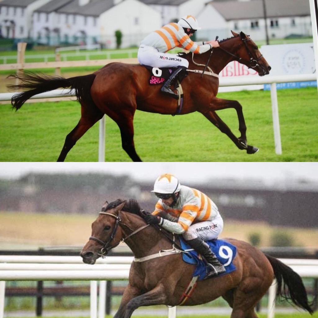 The Peaky Blogger-Horse Racing Blogger tweet media