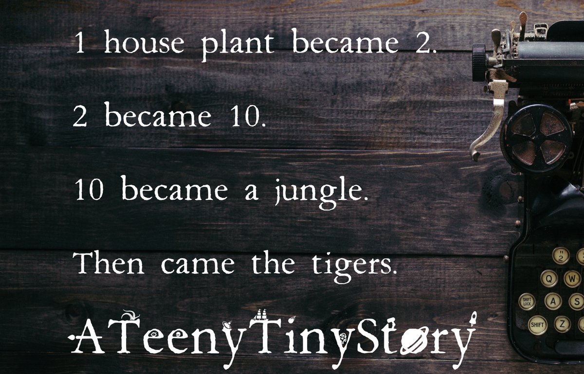 ATeenyTinyStory's tweet photo. Check out A Teeny Tiny Story on Patreon: https://t.co/dRqYdOmMcd

#ATeenyTinyStory #Story #Stories #ShortStory #Fiction #Writing #CanadianWriter #WriteWriteWrite #WritersofInstagram #WritersFollowWriters #WritersTag #UntwineMeCa #CanadianArtists #CommunityofWriters https://t.co/X8EnEPpck2