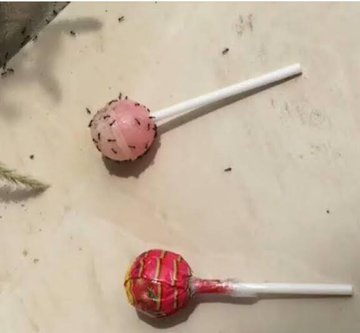 RN_MalikZada's tweet photo. This silent message is for every woman🔥♥️

#minarepakistanincident https://t.co/mErMK6Zvca