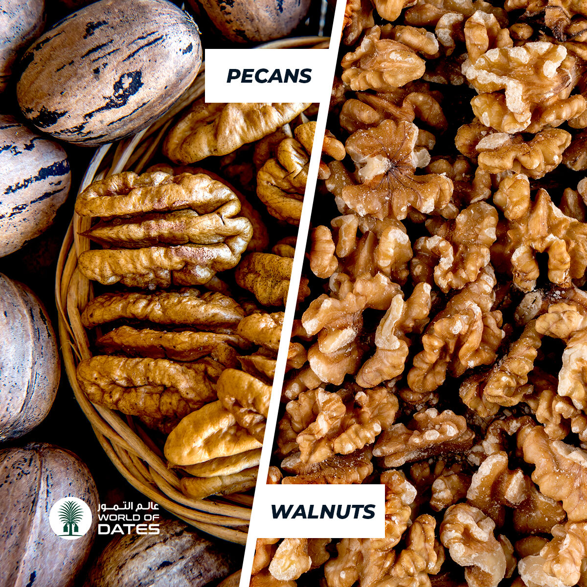 WorldofDates's tweet photo. Everyone is confused between #Pecans and #Walnuts. Here's the difference.
.
Pecans are #sweeter. Walnuts are #crunchier
.
Pecans are #love at first bite. Walnuts are love after the first bite
.
Find out which one's #nuttier at https://t.co/ynefJlVJ0m

#worldofdates #notjustdates https://t.co/bze1WcUz9B