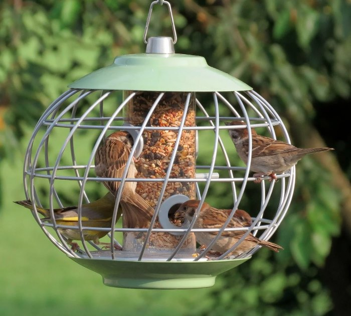 SoarMillSeeds's tweet photo. 💥 BACK IN STOCK!! 💥

THE NUTTERY CHINESE LANTERN SEED FEEDER ~ £17.99
THE NUTTERY HELIX SEED FEEDER ~ £31.99

Two of our best selling feeders are back! 🕊️🕊️

#birdfeeders #birds #squirrelproof #seedfeeder #familyrunbusiness #onlineshopping https://t.co/HxaPmTPLDZ