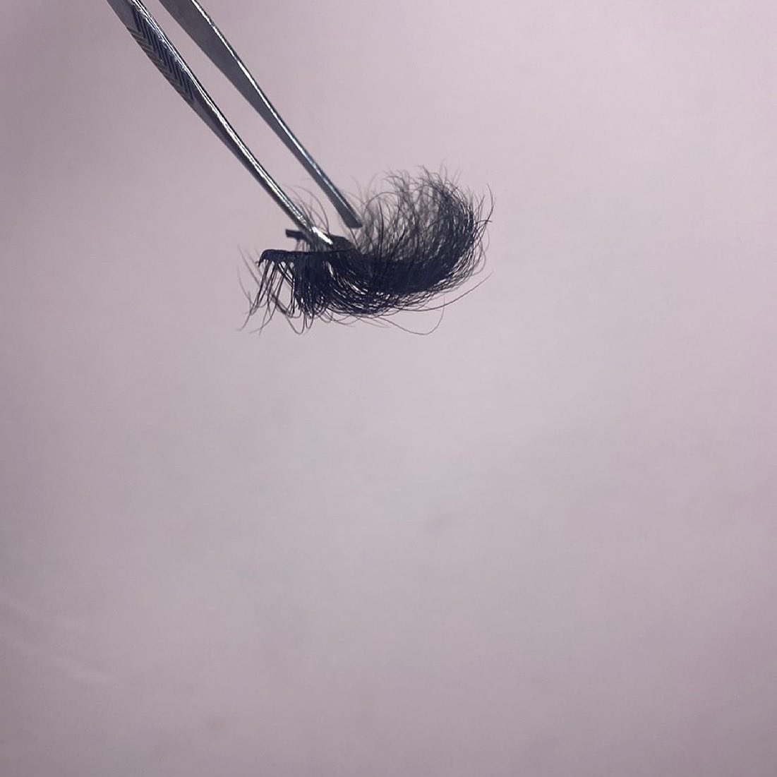 lucyslashes_'s tweet photo. Lashes for the night with free hoops on sight✨ all lash purchases comes with free sterling silver plated hoop earrings, link in bio✨🛍 #wssu #wssu22 #wssu23 #wssu24 #wssu25 #wssulashses https://t.co/zzl4d6CZE9