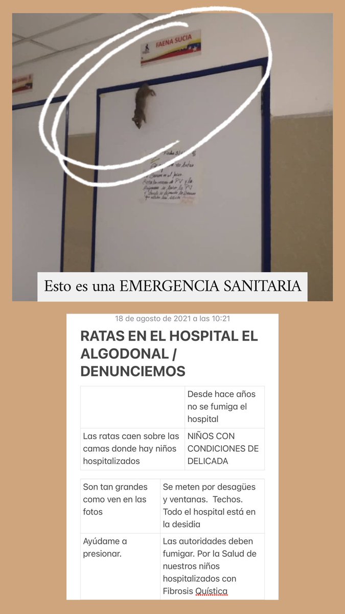 pepa14469276's tweet photo. @LucyPN Por favor ayúdame #elalgodonal #luisacaceresdearismendi #hospital #caracas #salud https://t.co/xlA2HWx8pH