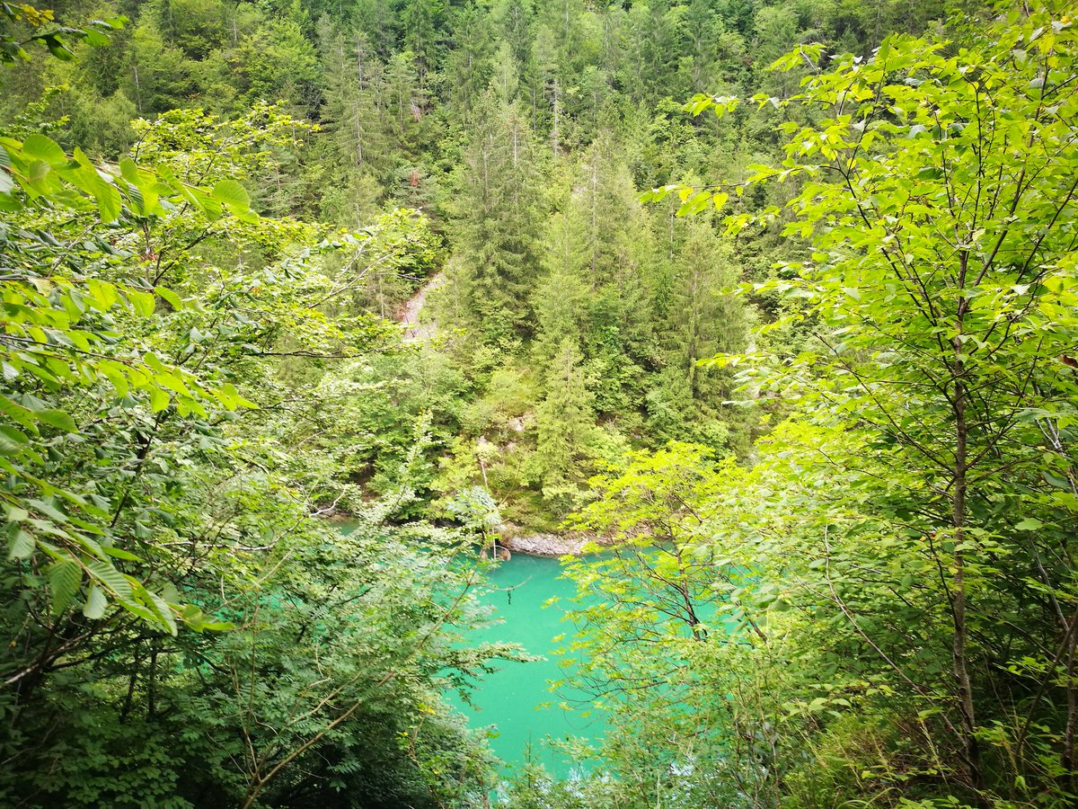 [PONTE SOSPESO LAGO DI SENAIGA A LAMON] 🌁
Ecco che scopro un meraviglioso luogo poco esplorato, mi trovo a Lamon provincia di #Belluno dove un ponte sospeso attraversa la gola della montagna e per qualche momento (il tempo di percorrerlo) ti sembra di volare.
#Veneto #Turismo