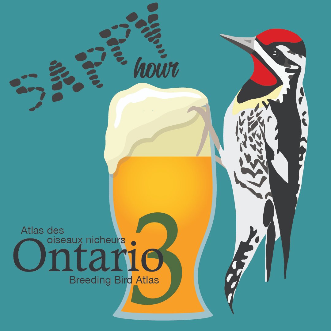 Ontario Breeding Bird Atlas tweet media