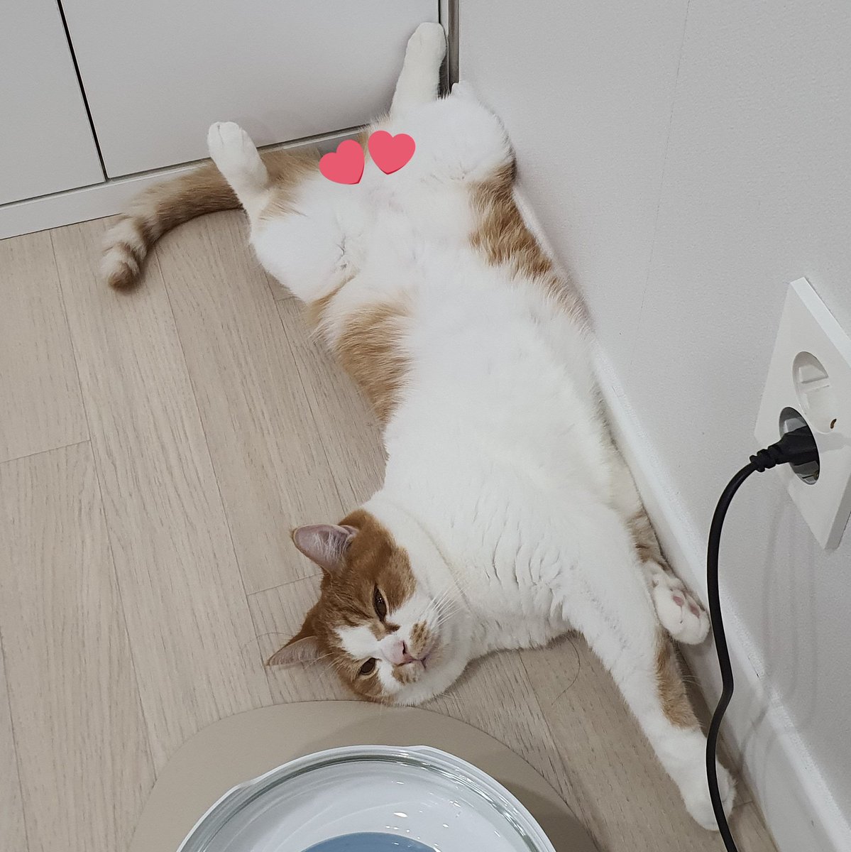 트릿이 그 안에 있다고 시위 중