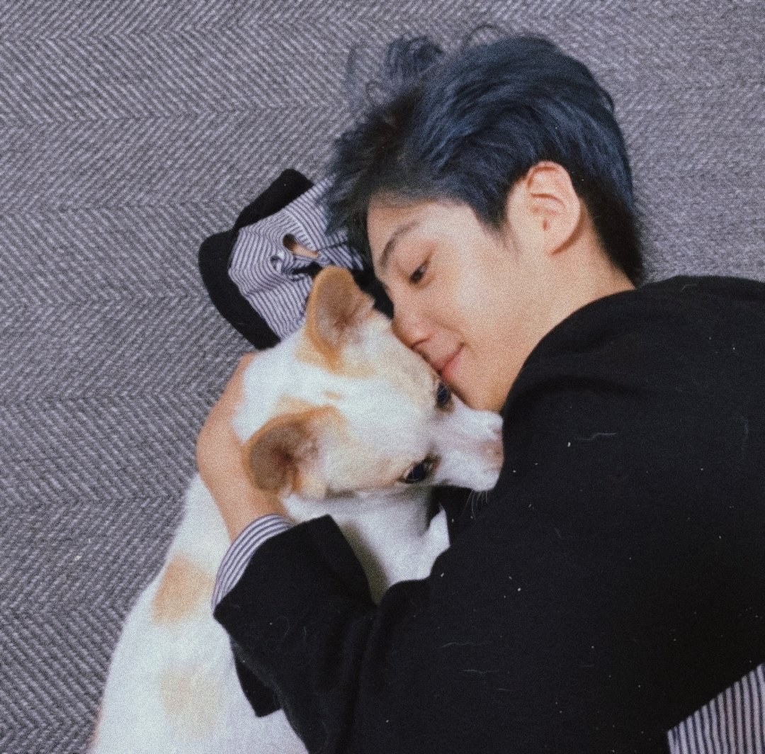 eunbrightt's tweet photo. ┄┄➣ i hope that my cat and eunsang's dog are playing with other cats/dogs in heaven and they are proud to see us until today who can begin again to live even though we lose them˚ˑ༄ؘ
#OISD #OneItsSelcaDay
@x1members @x1official101 https://t.co/72EGiBKEif