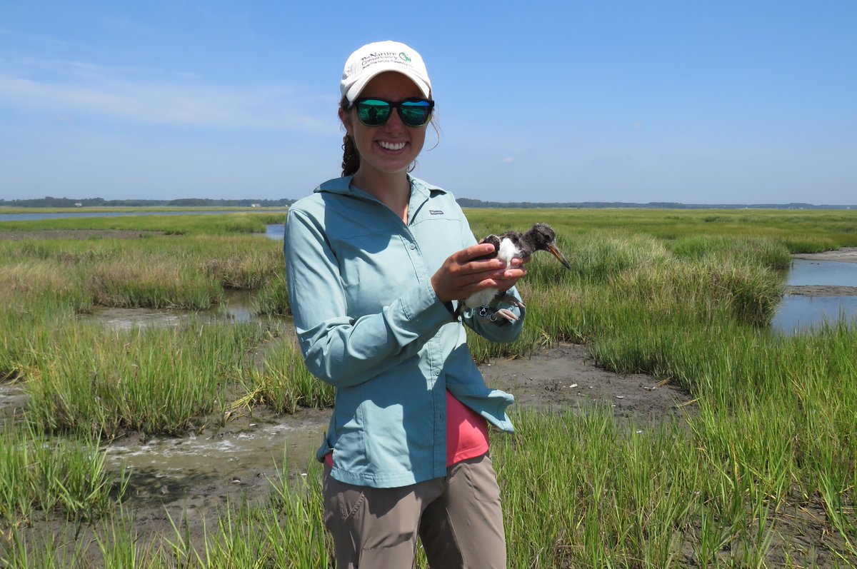 WaterbirdSociet's tweet photo. Aylett Lipford @kataylett is running for student councilor. She's an MS student @LSU studying marshbird use of created wetlands. Aylett served as an officer for TWS. She would work hard to represent students &amp; early career scientists, and bring new ideas and enthusiasm to council https://t.co/HhoyCsiNm6