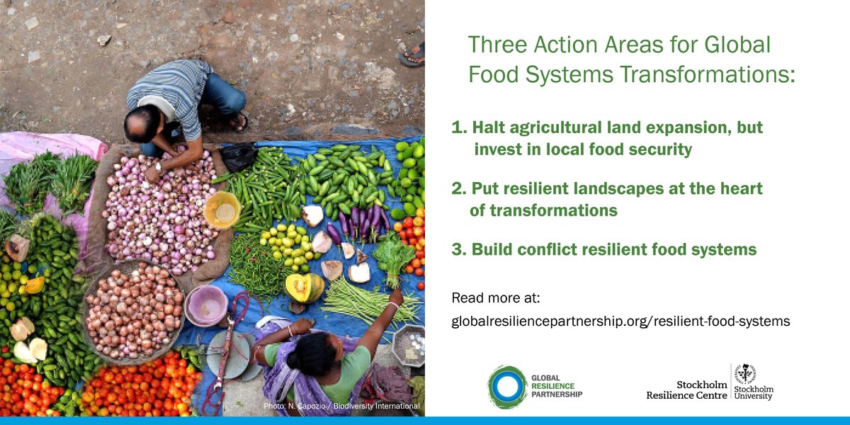 📢 Fresh off the press! A new paper in @NatureFoodJnl highlights 3 transformative action areas for global #FoodSystems in vulnerable and conflict prone areas. Read it here -> globalresiliencepartnership.org/resilient-food… @sthlmresilience @AGRAAlliance @theGEF @WorldBank @PIK_Climate @CGIAR @FAO