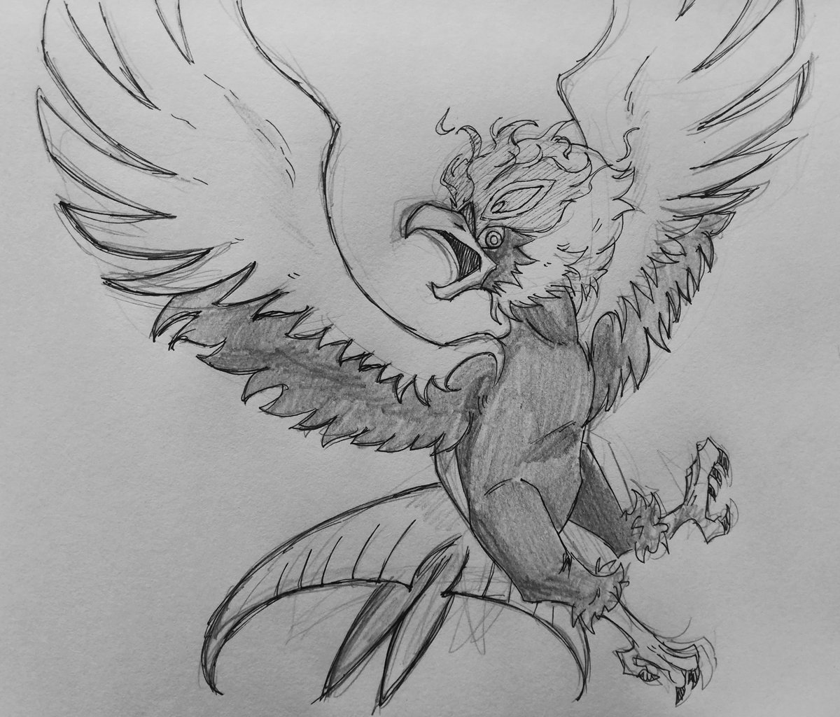 I Just Had To Do A Sketch Of One Of My Favourite Pokemon Of All Time Hisuian Braviary Is Just Perfect Pokemon Hisuianbraviary ポケモン ヒスイウォーグルpic Twitter Com 5ypejkqdi3 3ryll