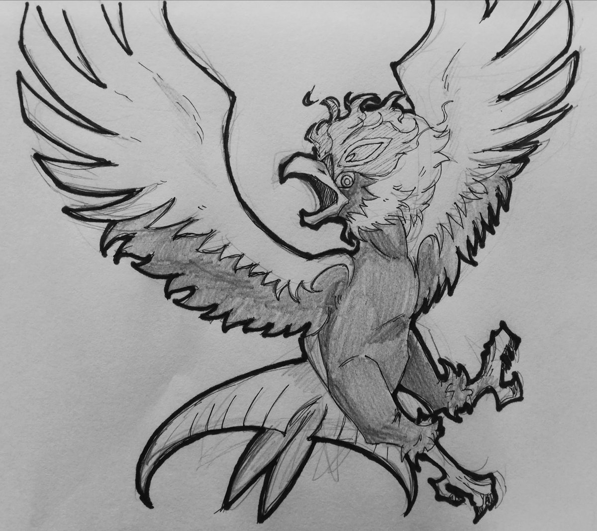 I Just Had To Do A Sketch Of One Of My Favourite Pokemon Of All Time Hisuian Braviary Is Just Perfect Pokemon Hisuianbraviary ポケモン ヒスイウォーグルpic Twitter Com 5ypejkqdi3 3ryll