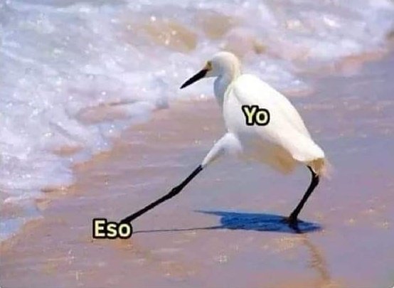 Kamiloo_V tweet picture