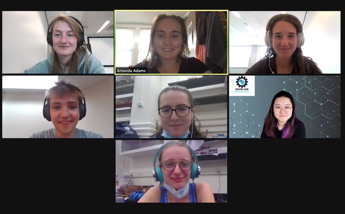 Here’s a screenshot from our recent collaboration meeting with <a href="/TUDelft_iGEM/">iGEM TU Delft</a> ! We shared info about our projects and how we are both incorporating aptamers.