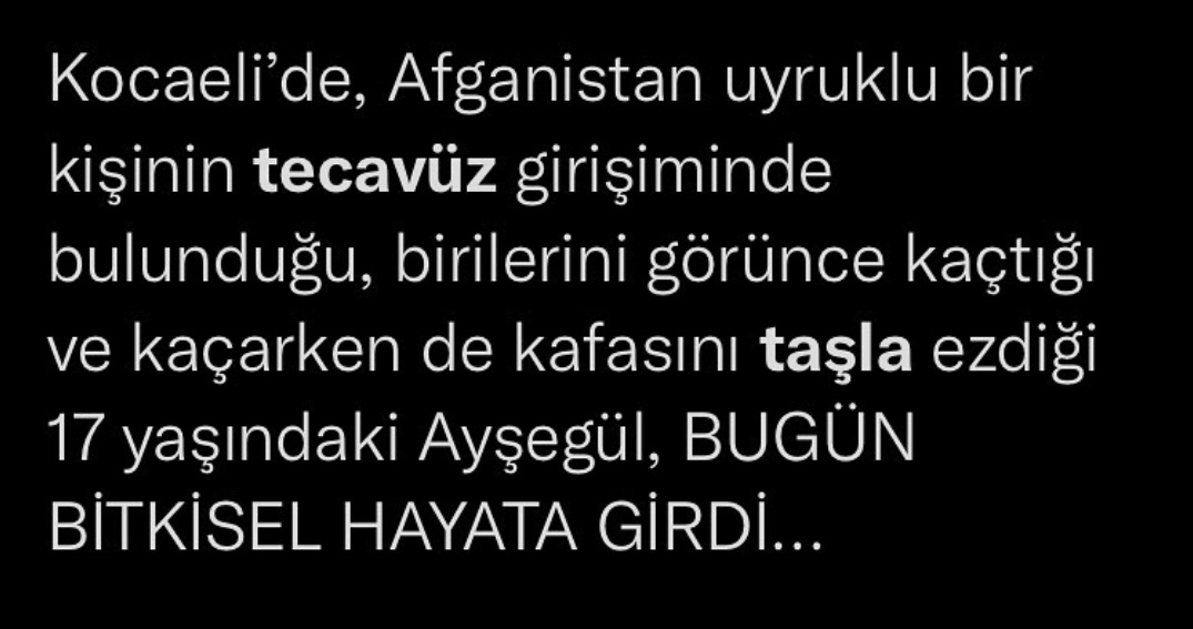 Çağla Zözer (@caglazozer) on Twitter photo 