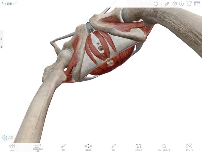 これは・・・ありがたい 