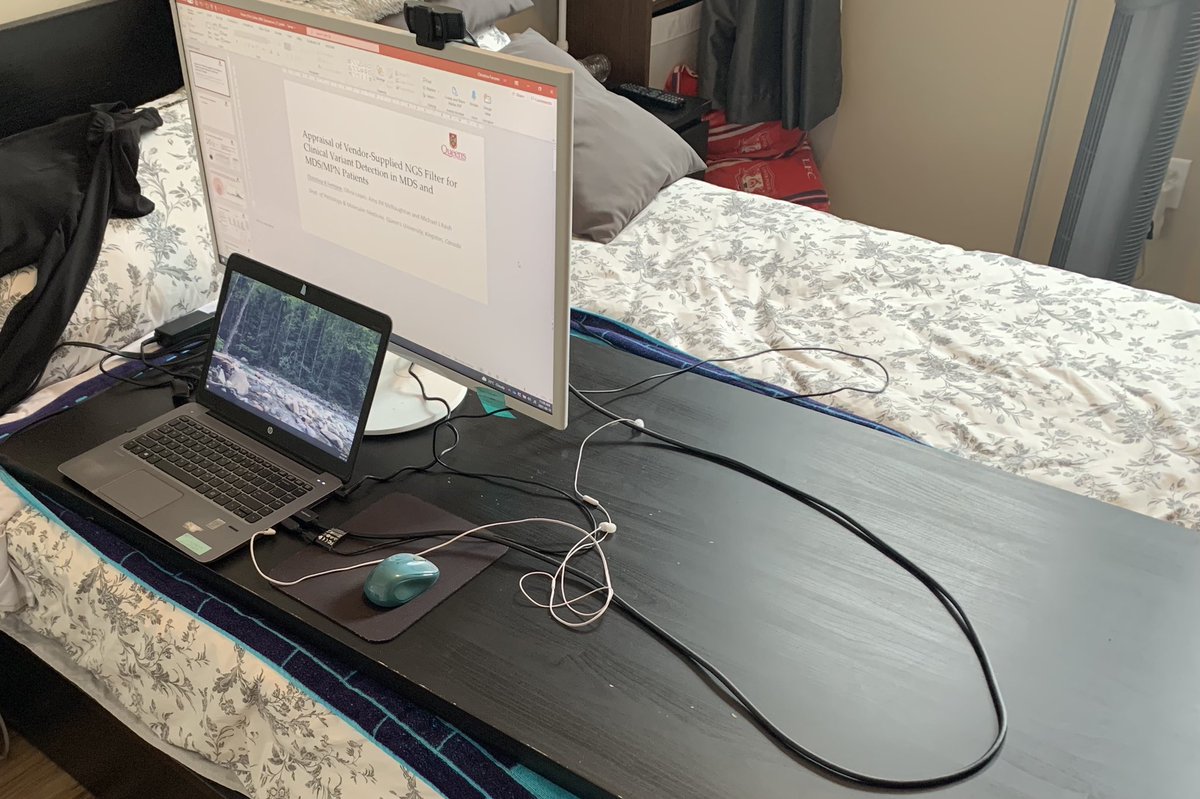 When the conference asks for a blank background for presentations and the only option in your “office” is your closet door…so you build a desk on your bed 🙃 #WFHlife #VirtualMeetings