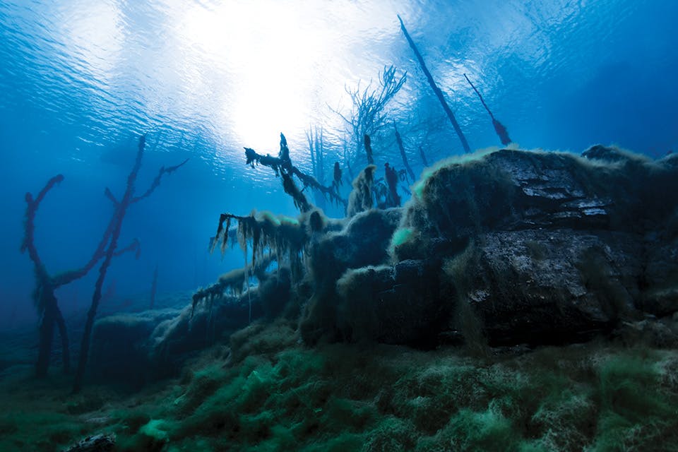 It looks like a different world — but the eerie, beautiful and fascinating #GilboaQuarry is right here in Ohio! Would you dive in to explore submerged aircraft and the variety of fish? ohiomagazine.com/travel/article…