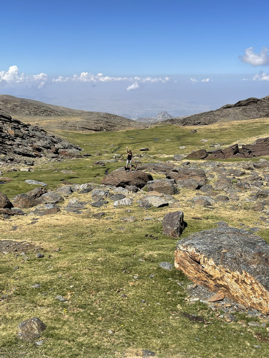 lauraocamar's tweet photo. Sierra Nevada en verano: lujazo. #Senderismo #Trail #Rutas #Andalucía https://t.co/XYCq7ruZ6s