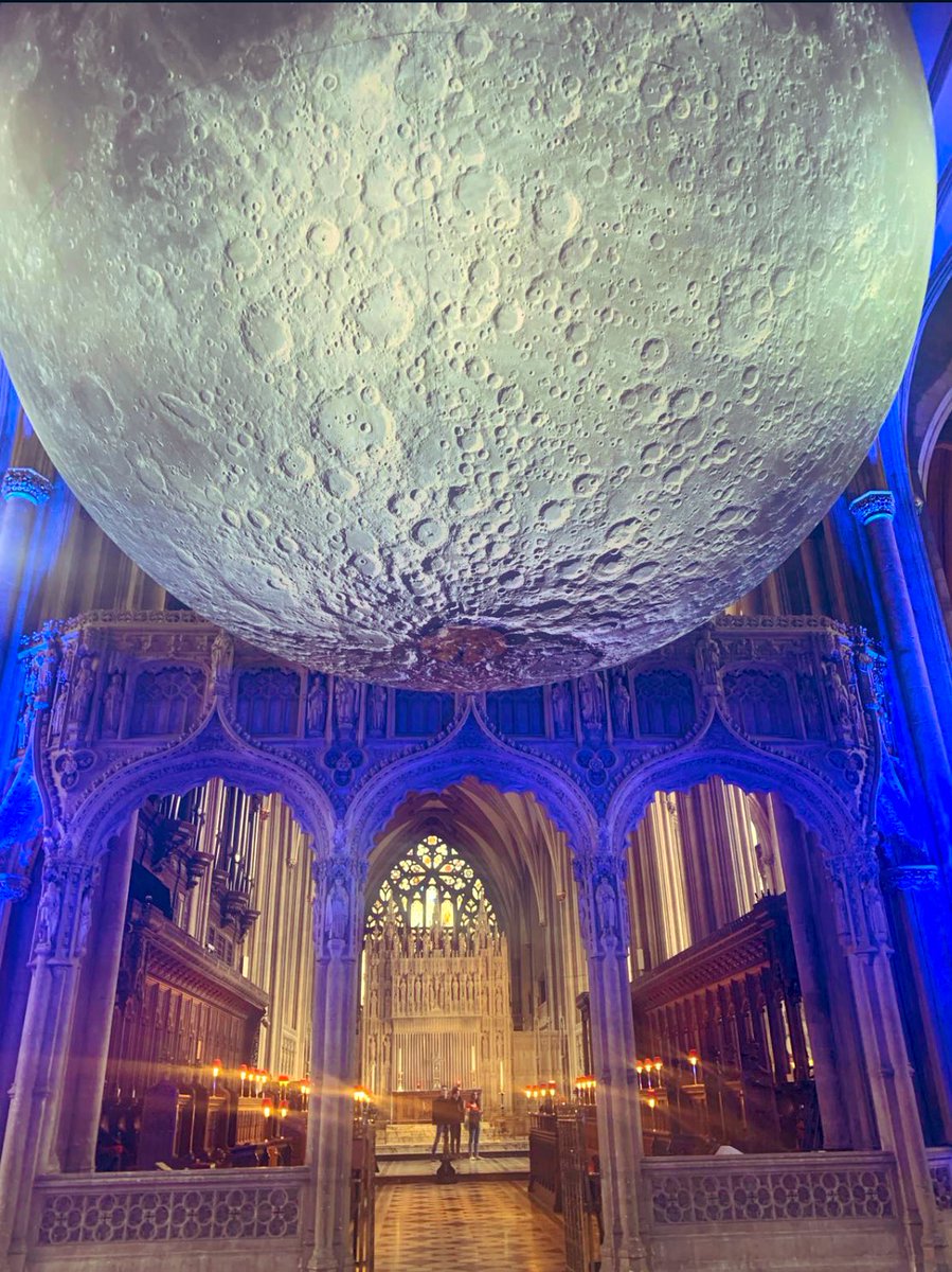 Charlotte Hodkin tweet media