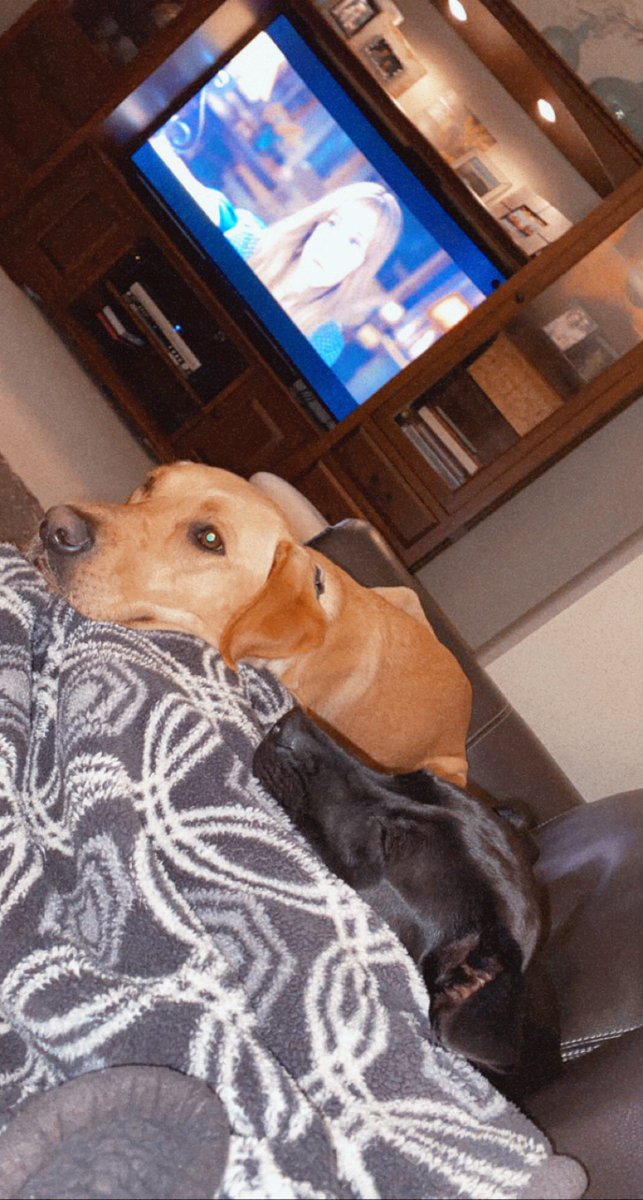 missing your dogs really is a different typa hurt 🥺