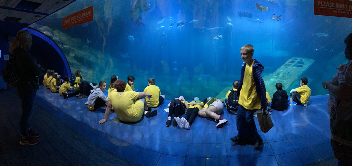 MFLLSCC's tweet photo. Day 3 of Summer School - Visiting the Aquarium @NMAPlymouth with a wonderful impromptu talk from their Education Officer! Thank you ☺️ @Liskeard_School #SummerSchool @MATpraise https://t.co/4rTG6nDacT