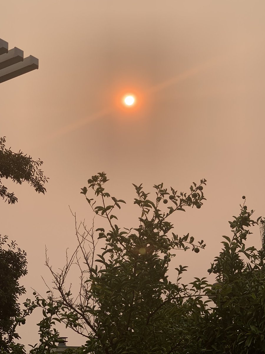 Heidim33's tweet photo. @SPaulsonKTVU Good Morning Steve.  You are correct.  An orange sunrise in Antioch. https://t.co/ppdF0oDtCU