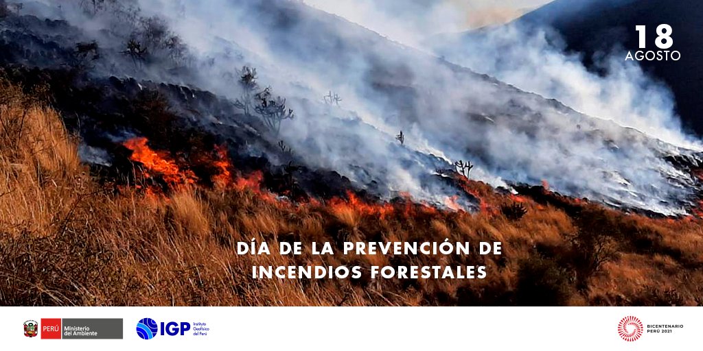 igp_peru's tweet photo. El Perú es un país rico en Flora y Fauna, y es responsabilidad de todos preservarla más aún de los fuegos. Es momento de medir el impacto del fuego como riesgo de desastre. ☝🏽 🍃

#IGP #Minam #COEN #Midagri #CENEPRED #GRD #SINAGERD #INIA #OEFA https://t.co/lIR8JxQxcp