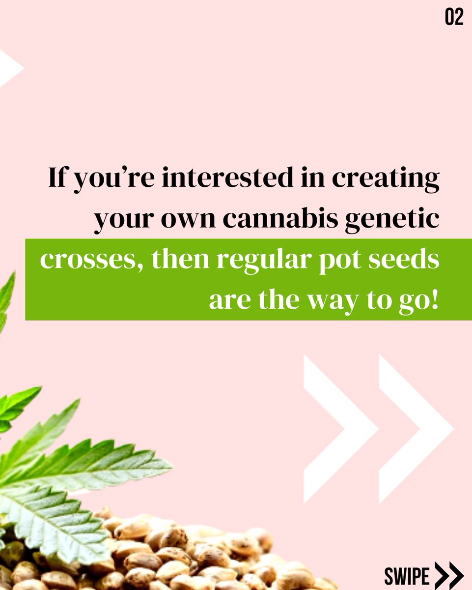 Hype_Seeds tweet picture