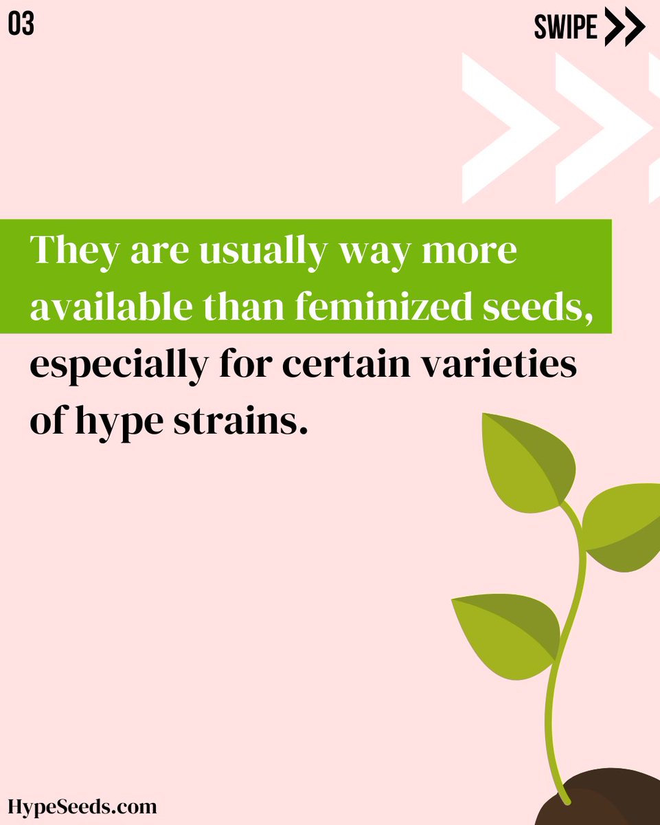 Hype_Seeds tweet picture