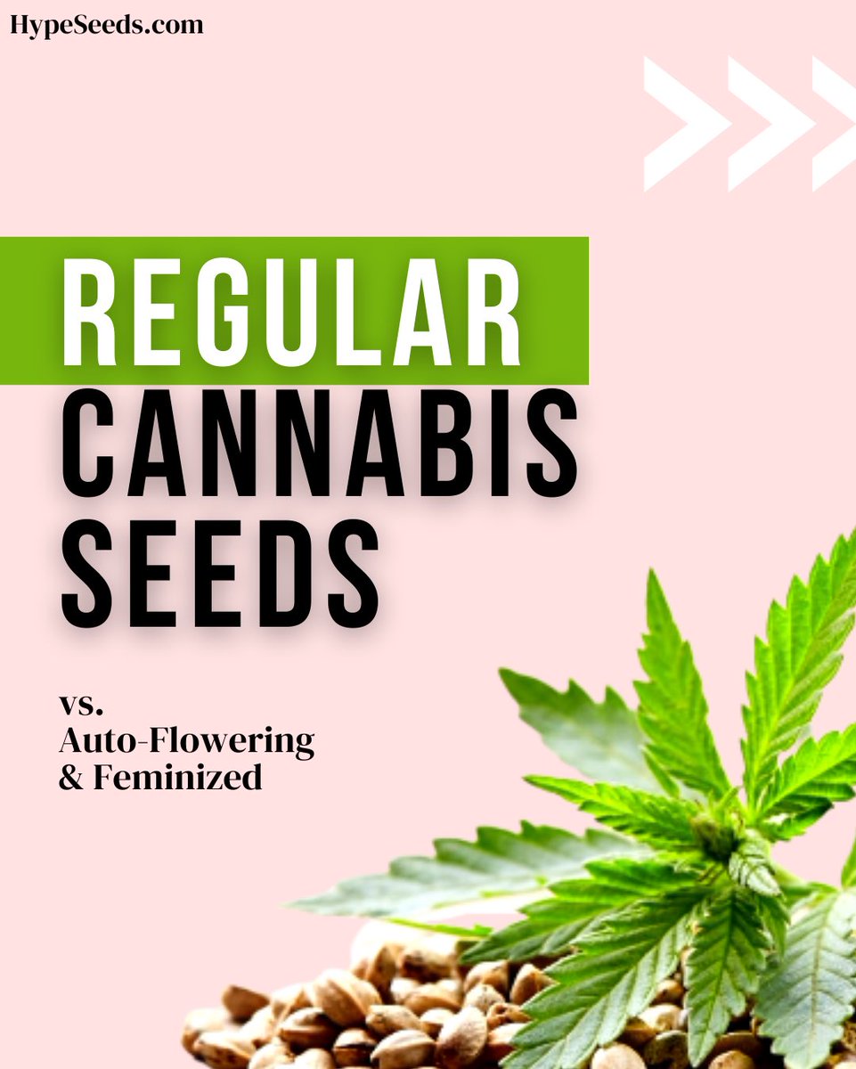 Hype_Seeds tweet picture
