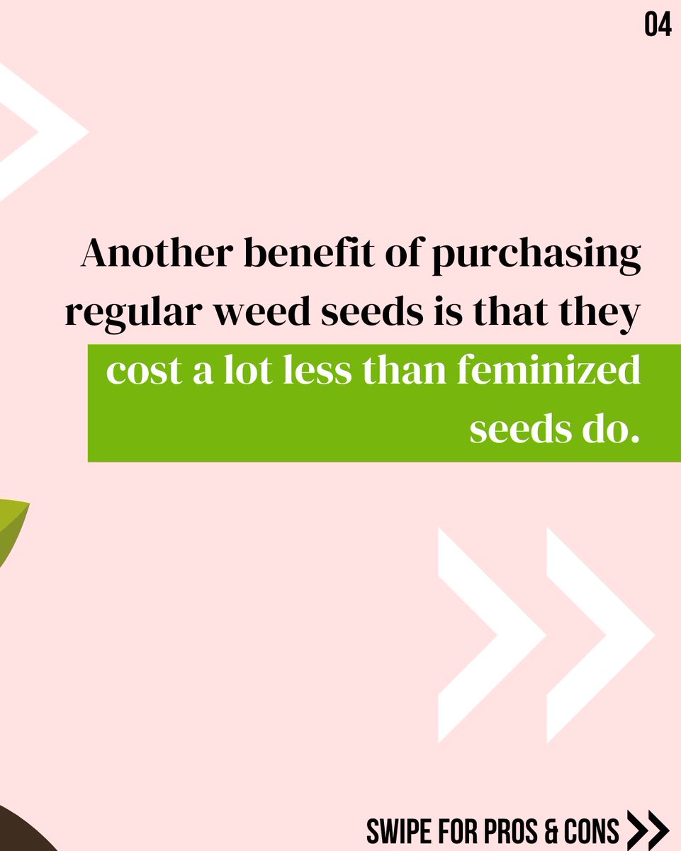 Hype_Seeds tweet picture