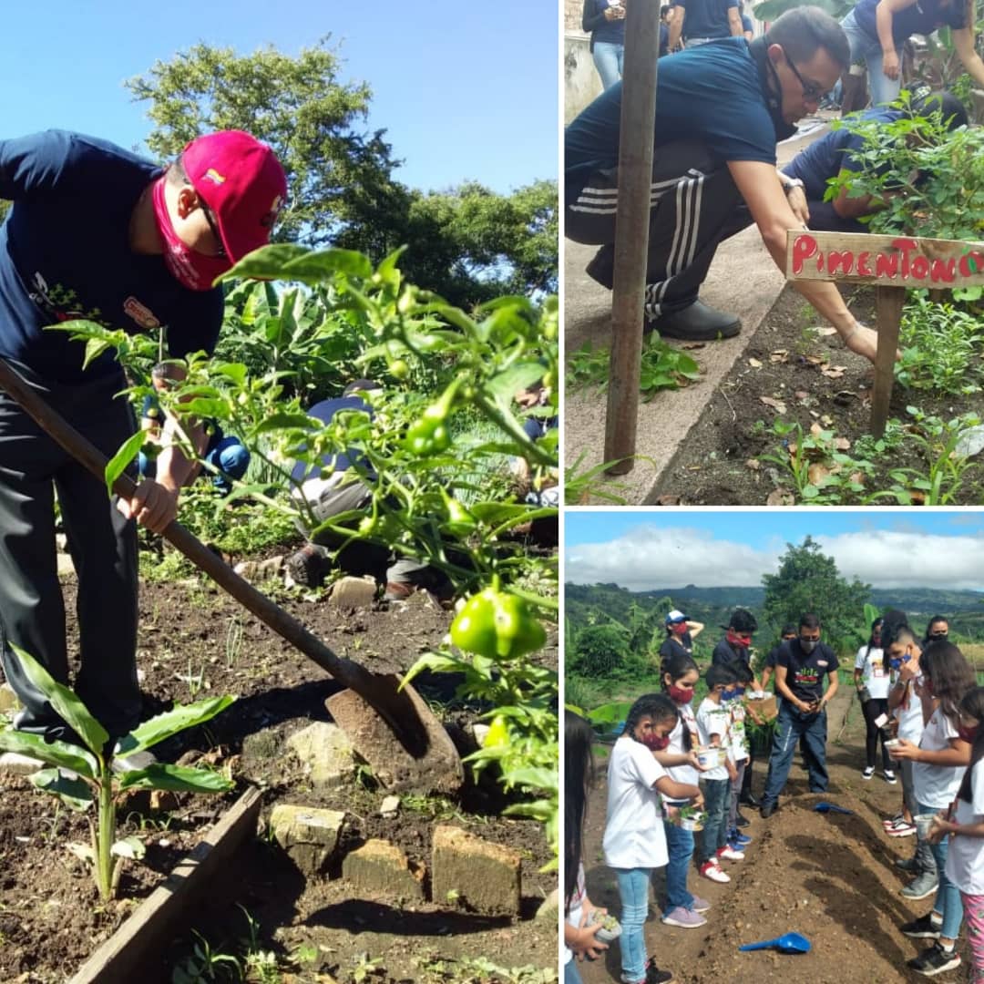 Con más fuerza iniciará la "P" de Producción en cada comunidad #Clap de los 29 municipios del Táchira. Los Clap es organización, abastecimiento, comunicación y producción, seguimos venciendo los ataques de la guerra criminal económica. <a href="/FreddyBernal/">Freddy Bernal</a>
#MiClapTachiraEsProductivo