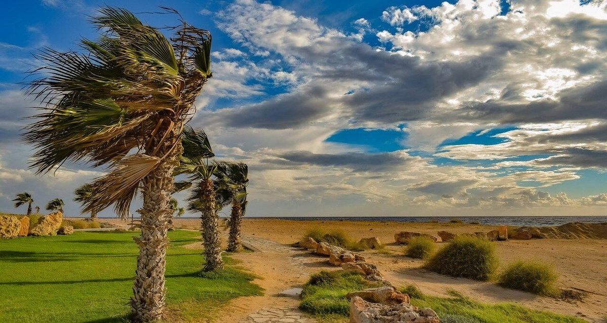 A very strong wind. Три пальмы ветер. Strong Wind. Wind get stronger. Windy Day Home.