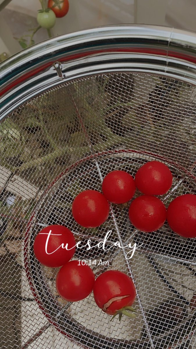 Mrs. Dee💍👰🏾‍♀️ tweet media