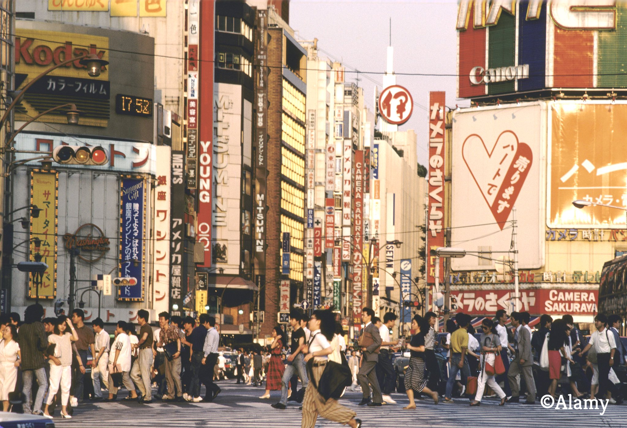 ⭐ 目で見る新宿区の100年 ⭐ 350枚のレトロな写真が語る新宿区 絶版本 ⭐ 目で見る新宿区の100年 ⭐ 350枚のレトロな写真