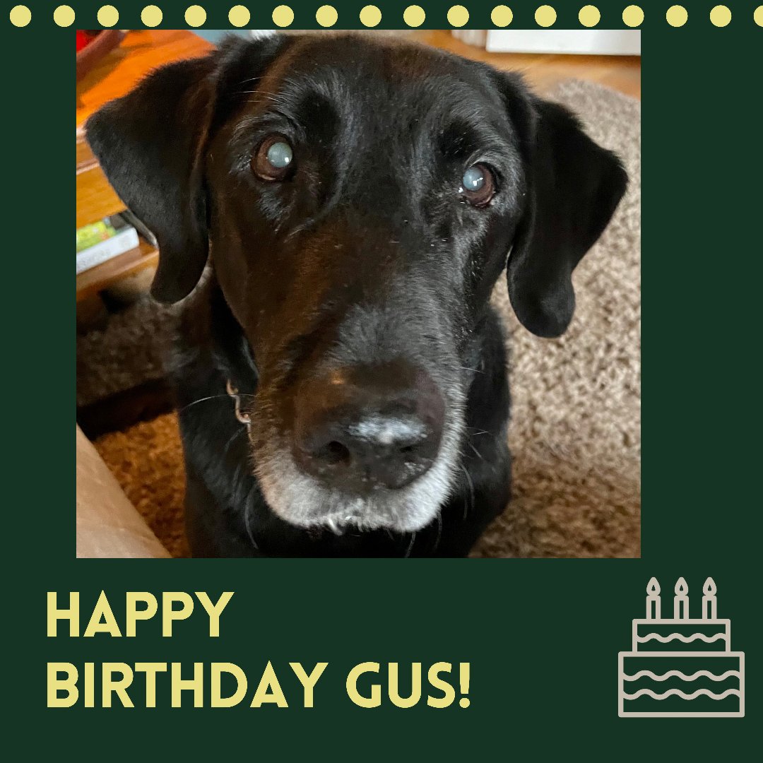 Let’s all wish K9 Gus a very Happy 13th Birthday!! 
.
.
.
#pawsofhonor #workingdog #veterinary #twoheroesoneleash #givingback #retiredk9s #workingdogsofig #nonprofit
#k9strong #k9dogs #k9life