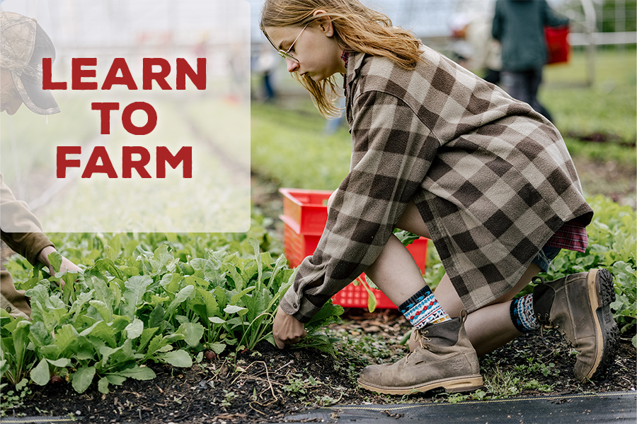 caff_ar's tweet photo. Would you like to farm? Learn farm entrepreneurship and sustainable farming techniques on small acre models. Grow vegetables, fruits, herbs, and flowers for regional markets. https://t.co/63xSTYPV8u #NWAfarming #farmlife #knowyourfarmer #organicfarming #farmersmarket https://t.co/gvWv9fNQdB