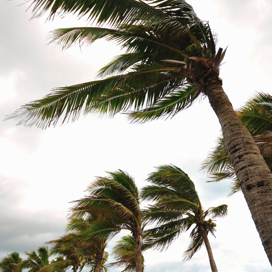 Fly_PJS's tweet photo. During hurricane season, the Southeast U.S., Gulf Coast and the Caribbean are at greater risk for tropical storms. At PJS, we build an #EmergencyResponse Plan for you in advance, creating peace of mind so that you can travel to any location at any time.
#flypjs #travelplanning https://t.co/Osg0QCCSXw