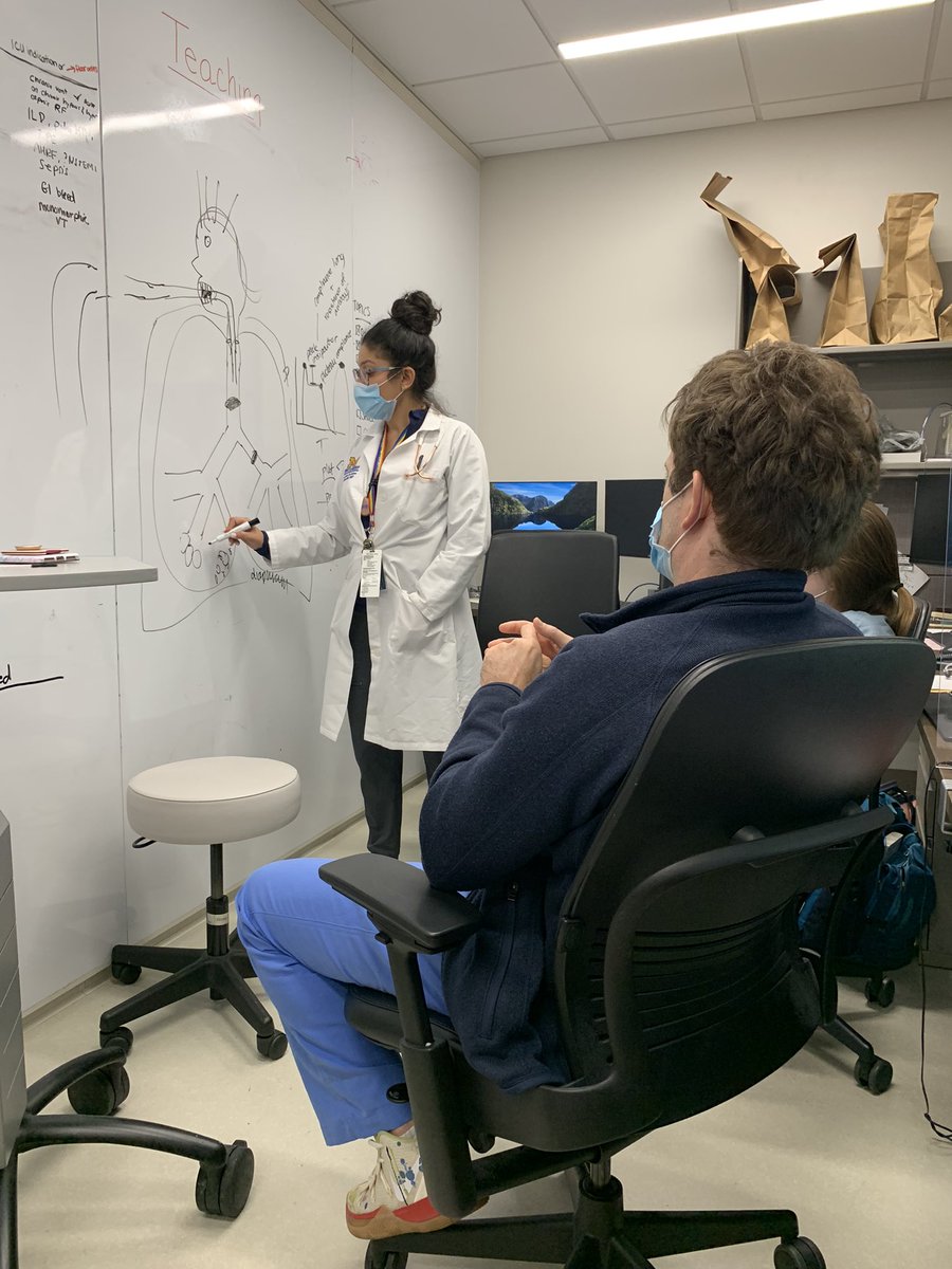 Two first year fellows and their superstar attending ft. UltraSound and dry erase <a href="/Jakob_McSparron/">Jakob McSparron</a>. <a href="/VAAnnArbor/">VA Ann Arbor</a> certainly is lucky this block! <a href="/mpirzad/">Mina Pirzadeh</a> @VMScicluna <a href="/MaddieLagina/">Maddie Lagina</a>