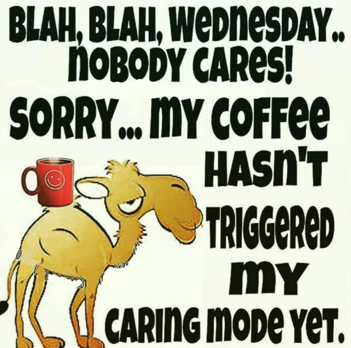 Your_Coffee_Fix's tweet photo. Let the shenanigans begin! π€ͺ #HappyHumpDay
#humpdaycoffee #happywednesday #coffeejunkie #needcoffee #coffeestat #loveyoualatte #coffeetweet #coffeeislife #baristalove https://t.co/iu64mggJmp