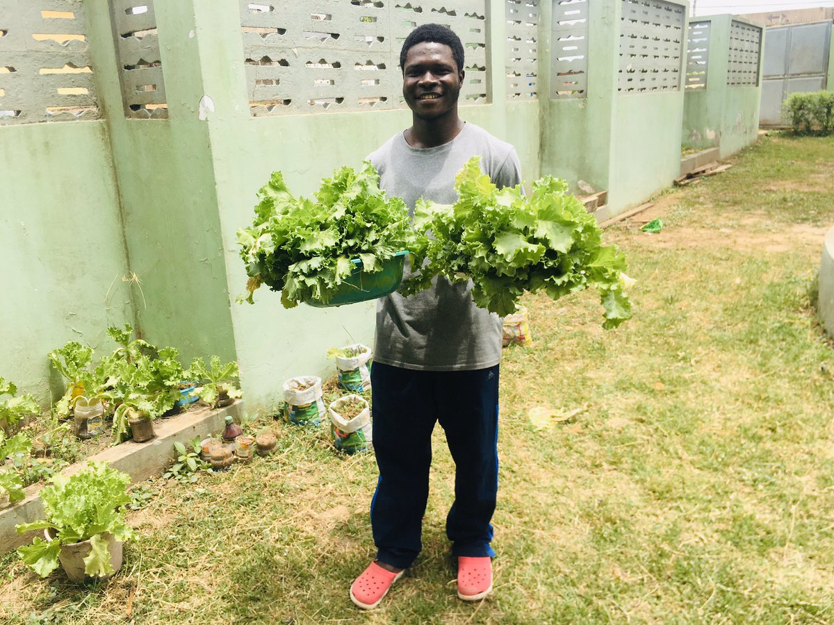 GoshenGlobal's tweet photo. We are fulfilled as an organization when we see how we are impacting future generations positively. This is a student of Takoradi Senior High School. Following the establishment of our #demonstrationfarm in his school. He decided to have his own #homegarden.
#usfsprojects https://t.co/cOyhnd54Vd