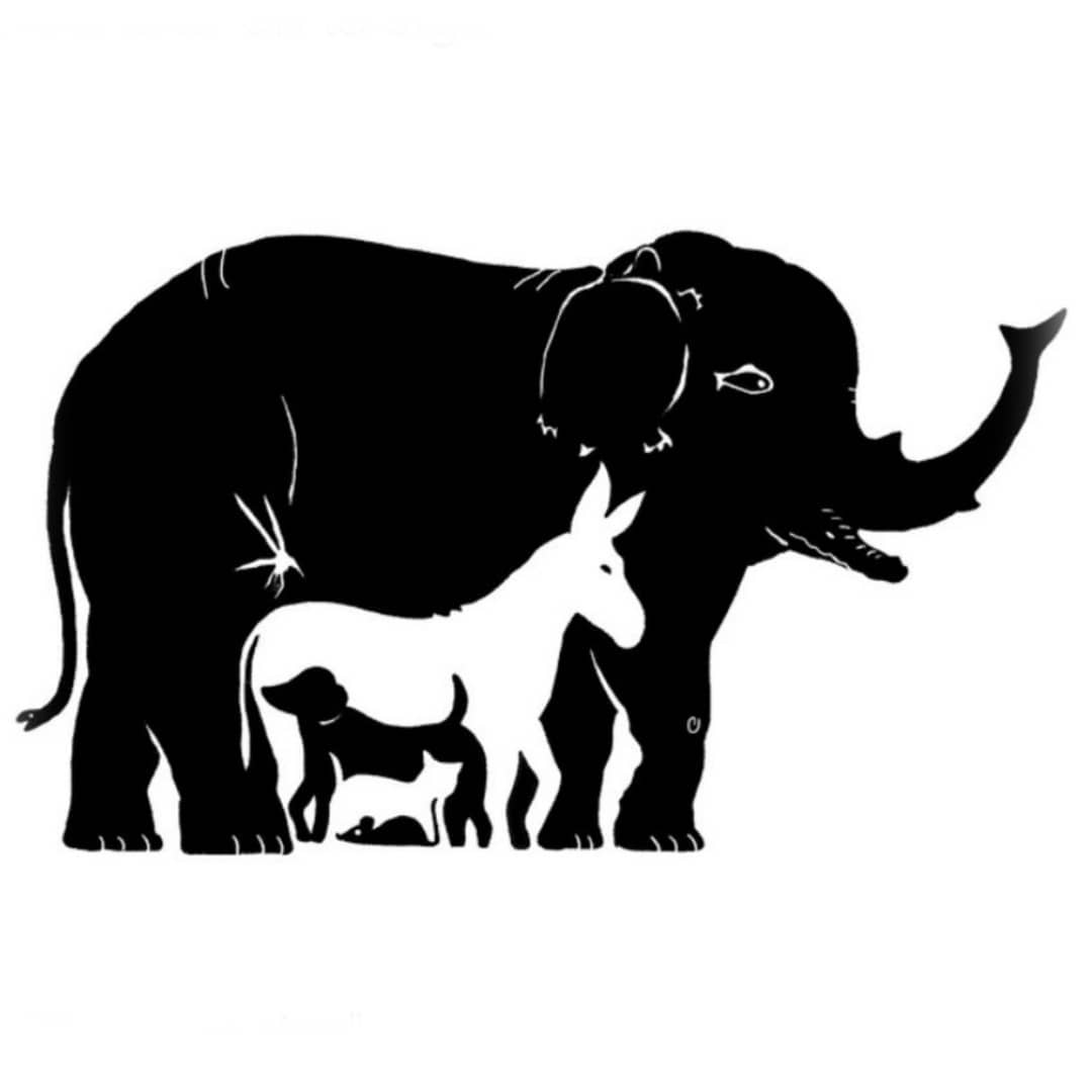 don_bufalo's tweet photo. Acertijo del día. ¿Cuántos animales puedes identificar en esta imagen?
Comenta aquí 👇👇👇

#donbufalo
#bufalos
#murrah
#venezuela
#ganaderia
#animales
#animals https://t.co/MBWULa4nGz