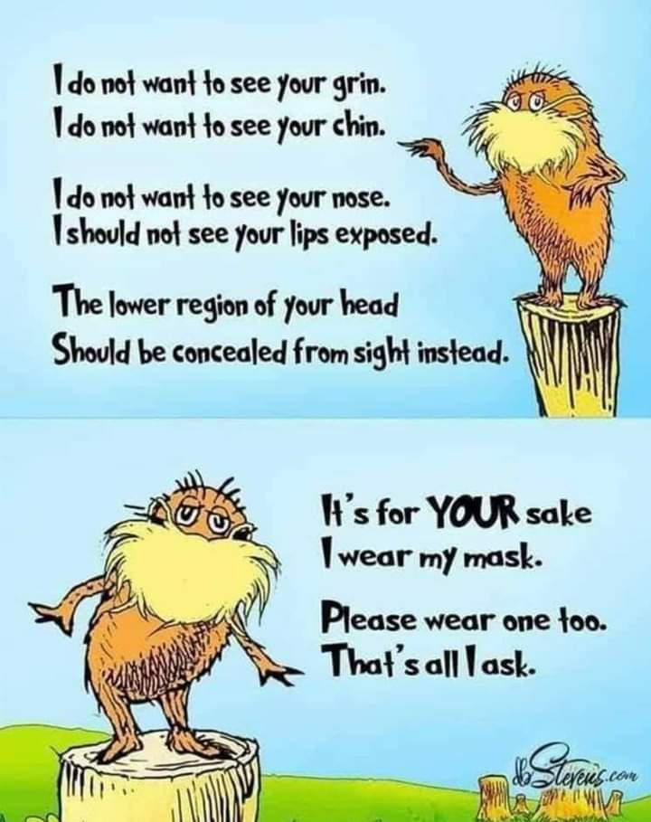 LittleMexicanBirds (@birdsmexican) on Twitter photo 